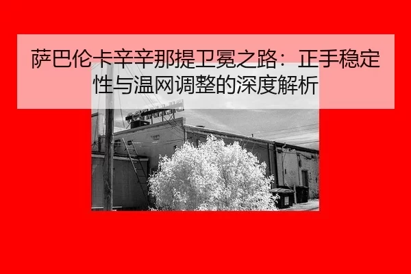 sa-ba-lun-ka-xin-xin-na-ti-wei-mian-zhi-lu-zheng-shou-wen-ding-xing-yu-wen-wang-tiao-zheng-de-shen-du-jie-xi-3-727.jpg